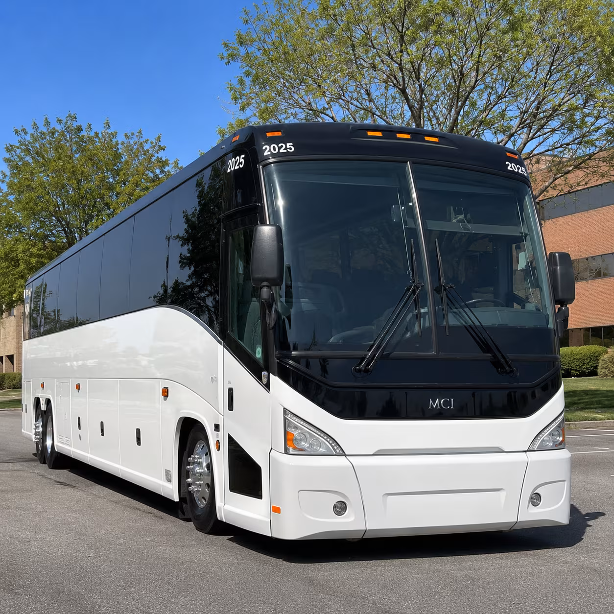 nights of lights st augustine day trips group shuttles to the historic district